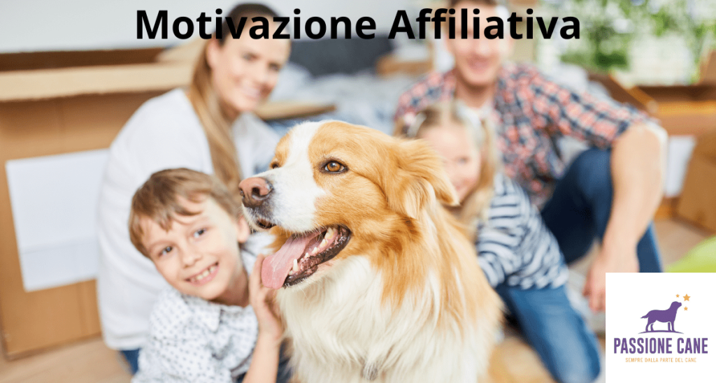 motivazione affiliativa