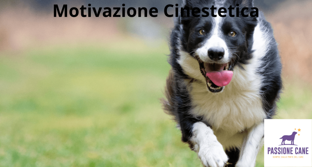 motivazione cinestetica