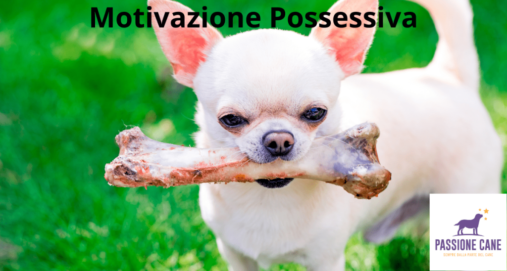 motivazione possessiva