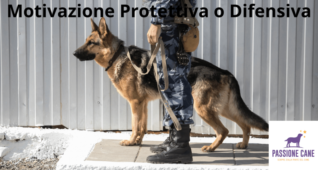 motivazione protettiva o motivazione difensiva
