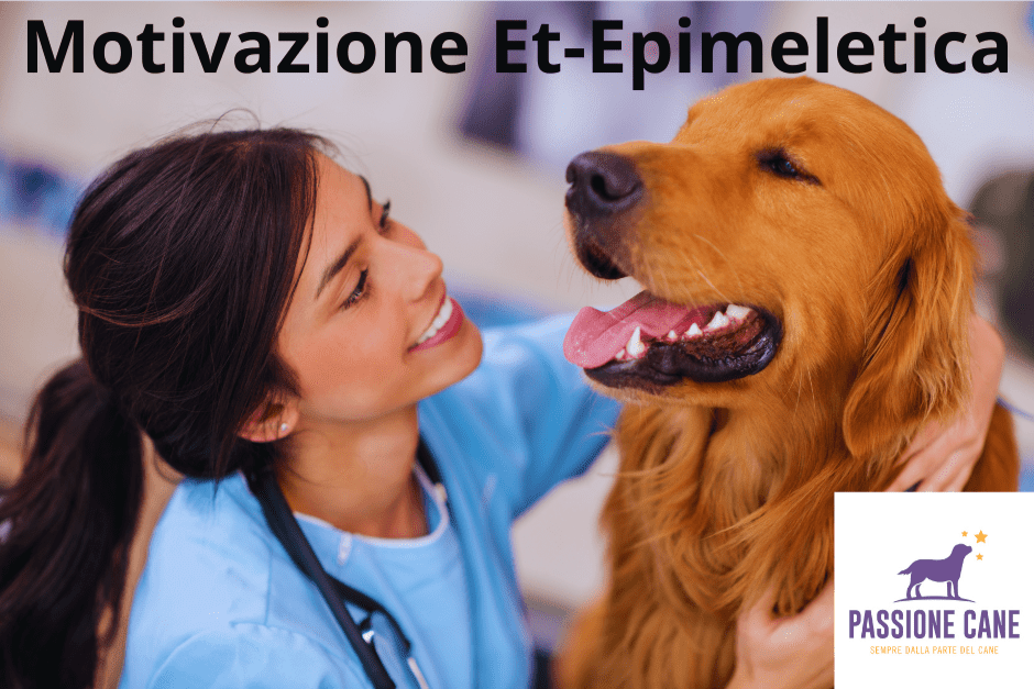 motivazione et-epimeletica