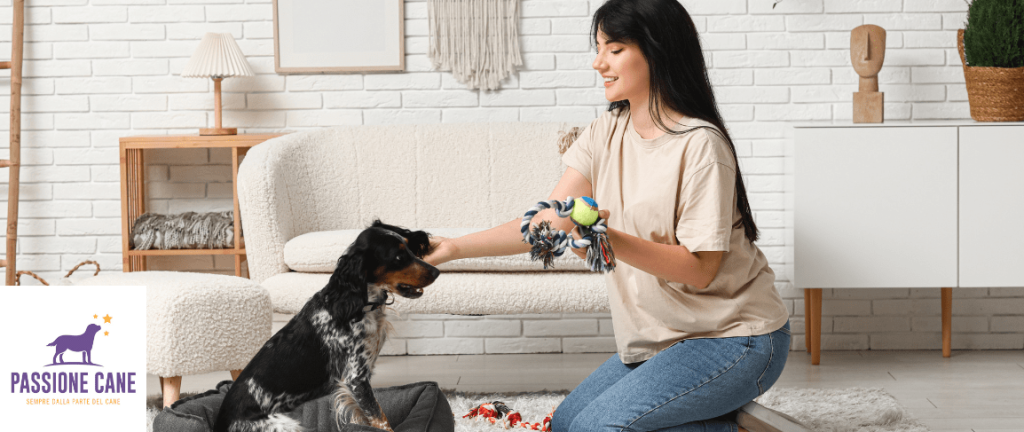 giochi da fare in casa con il cane, Gioco seduto terra resta a casa con il cane