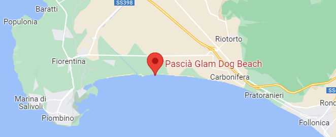 Spiaggia per cani toscana, Pascià Glam Dog Beach, Dog Beach Toscana, Spiagge per cani toscana, Spiaggia per cani senza recinto