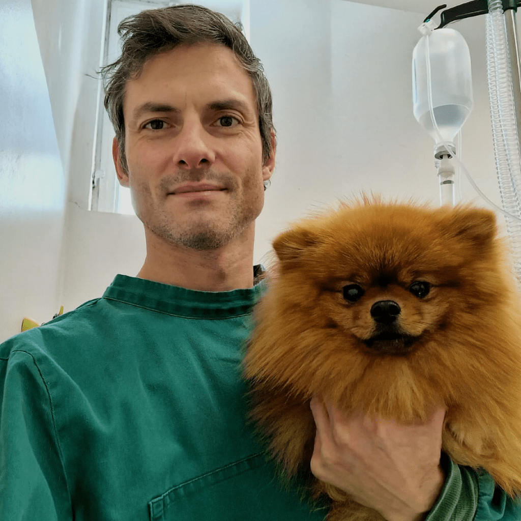 veterinari vicino a me, veterinario, veterinari asl, veterinario comportamentista, malattie del cane