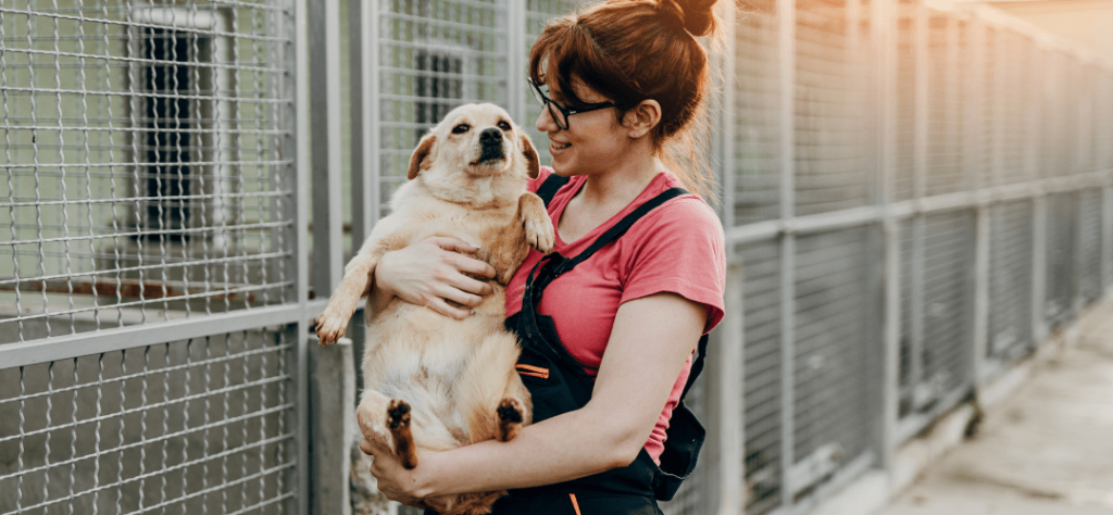 adozione cane taglia piccola adozione cane roma adozione cane piccola taglia adozione cane roma adozione cane taglia piccola adozione cane di piccola taglia adozione cane milano adozione cane fvg