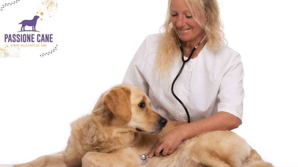 golden retriever, malattia golden, malattie croniche golden retriever, malattie ereditarie golden retriever, malattie cuccioli golden retrieve