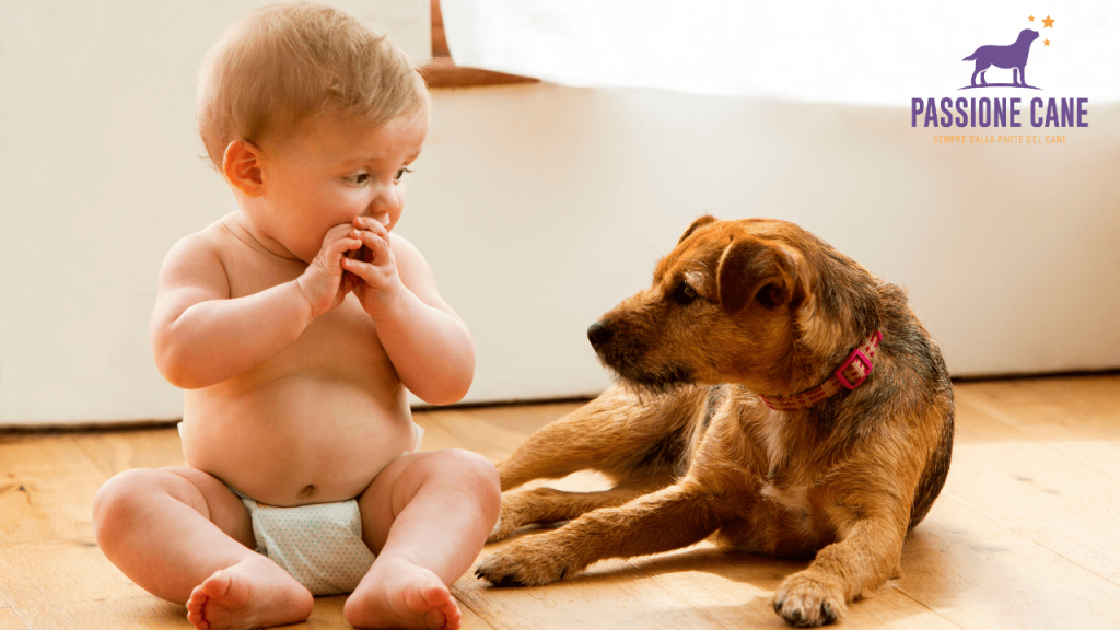 cani e bambini: come comportarsi?,