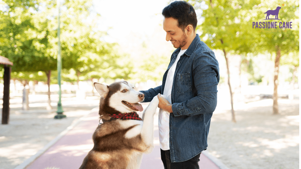 linguaggio del cane immagini, posizioni linguaggio del cane