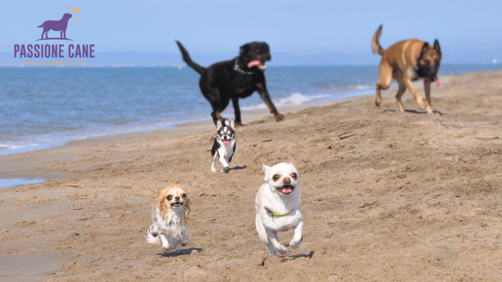 linguaggio del cane, posizioni linguaggio del cane