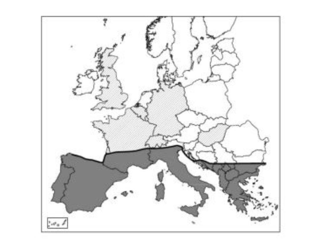 filaria per cani, filaria, filaria disease, pastiglie per cani contro pulci zecche e filaria