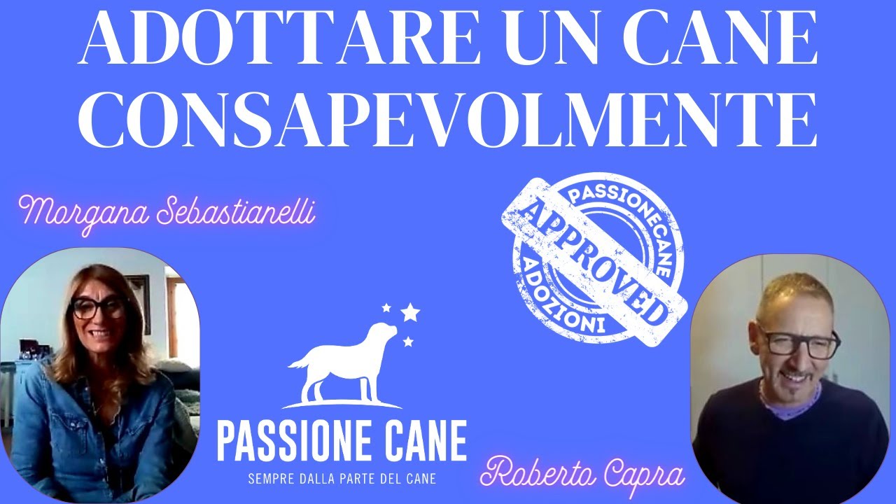 adottare un cane in modo consapevole