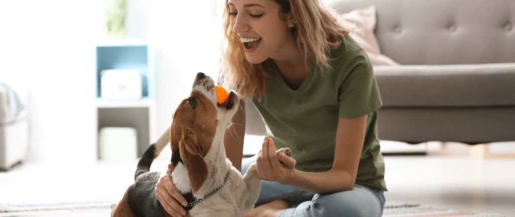 Giochi da fare in casa con il cane