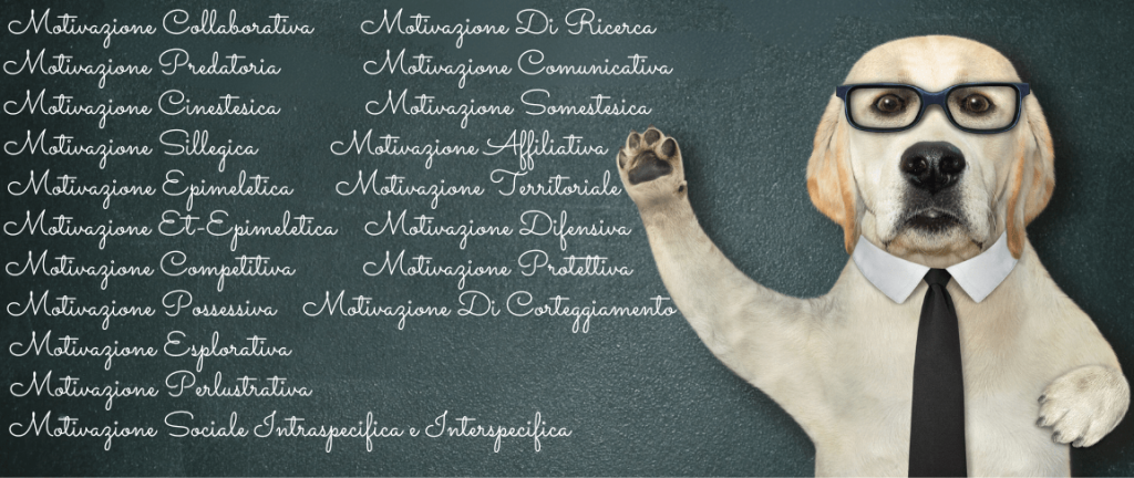 Motivazioni cani, motivazione cane