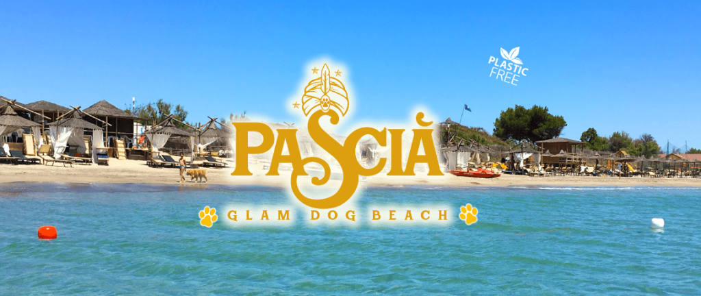 Spiaggia per cani toscana, Pascià Glam Dog Beach, Dog Beach Toscana, Spiagge per cani toscana, Spiaggia per cani senza recinto