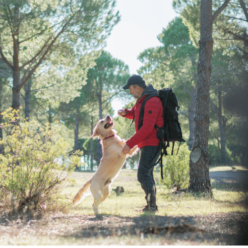 Dog Trekking, Guida di Dog Trekking, Itinerari di Dog Trekking