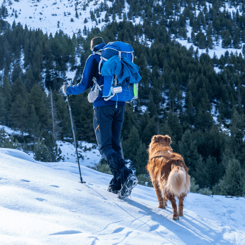 Dog Trekking, Guida di Dog Trekking, Itinerari di Dog Trekking