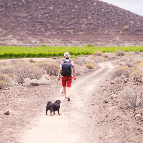 Dog Trekking, Guida di Dog Trekking, Itinerari di Dog Trekking