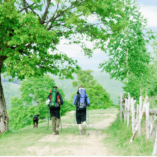 Dog Trekking, Guida di Dog Trekking, Itinerari di Dog Trekking