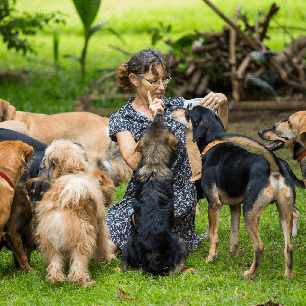 pensione per cani vicino a me, pensione per cani a roma, pensione per cani a milano, pensione per cani prezzi, pensione per cani torino,