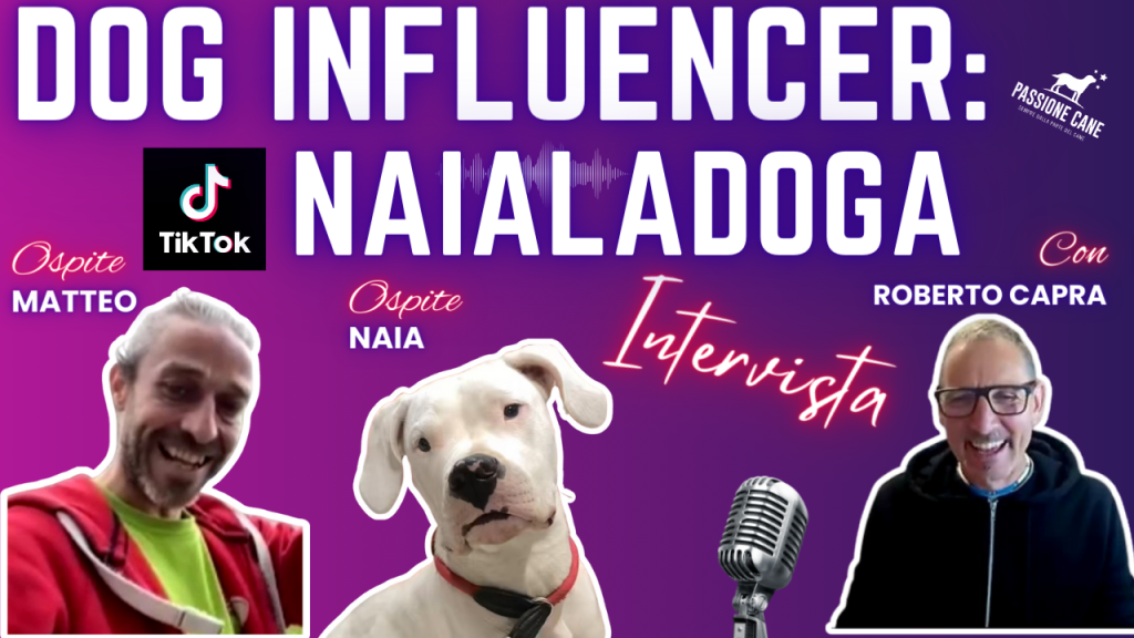 dog influencer, naialadoga, @naialadoga, dog influencer: @naialadoga