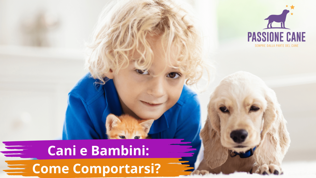 cani e bambini: come comportarsi
