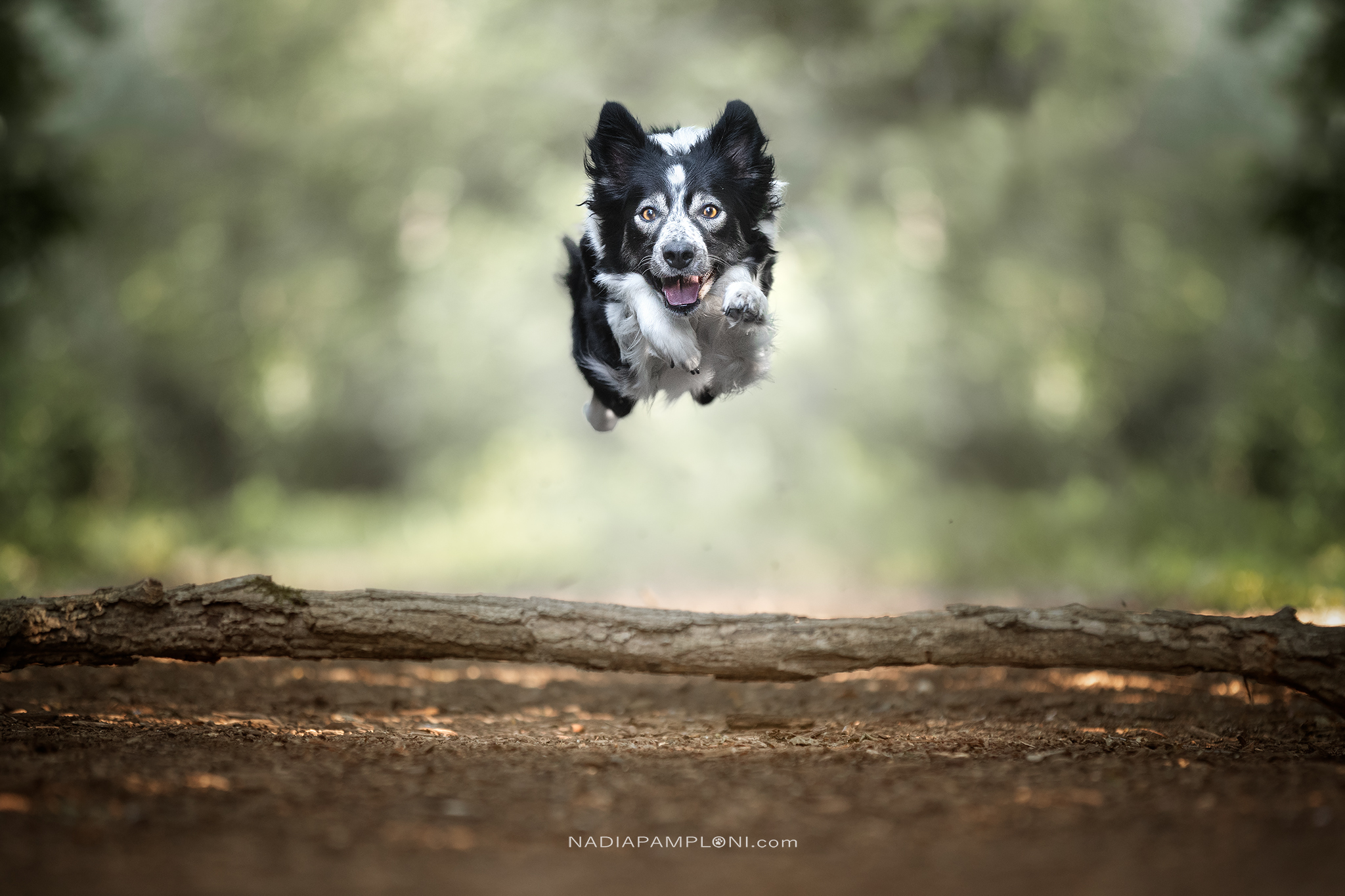 Glee_Jump_1_72dpi_SRGB