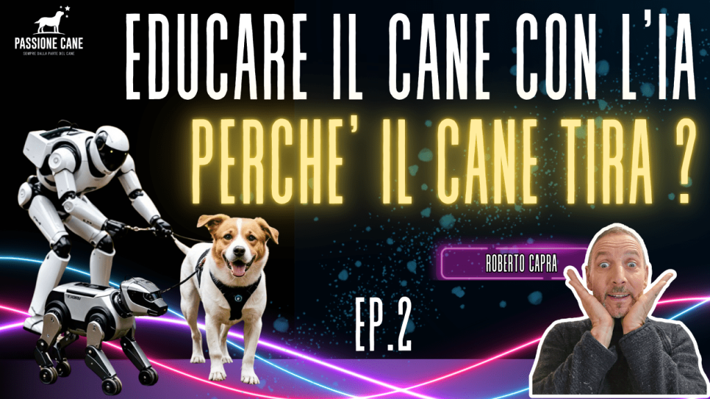 perchè il cane tira al guinzaglio? educare il cane con l'intelligenza artificiale