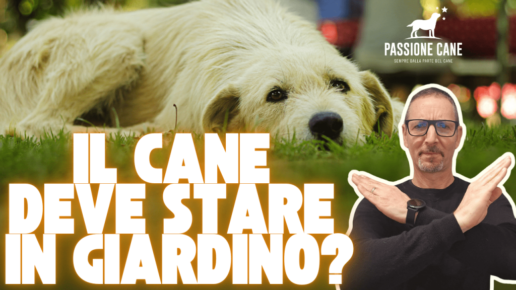 IL CANE DEVE STARE IN GIARDINO?, CANE IN APPARTAMENTO O IN GIRDINO?, PER AVERE UN CANE SERVE IL GIARDINO?