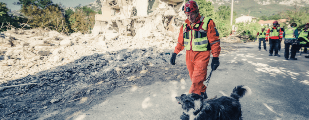 Cani eroi, cani search and rescue, Cani Antidroga, Cani Anticontrabbando/Antiterrorismo, Cani Anti-Valuta (Cash-dog), Cani da Valanga, Cani da Ricerca e Soccorso, Cani da Salvataggio in Acqua, Cani da Pet Therapy, Cani Guida per Non Vedenti